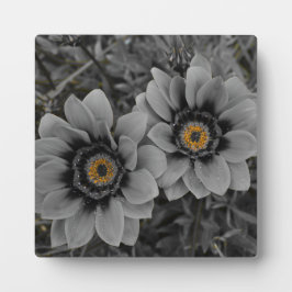 Placa Expositora Two of a Kind