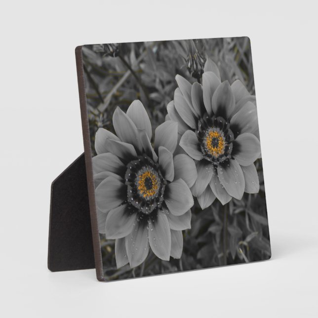 Placa Expositora Two of a Kind (Anverso)