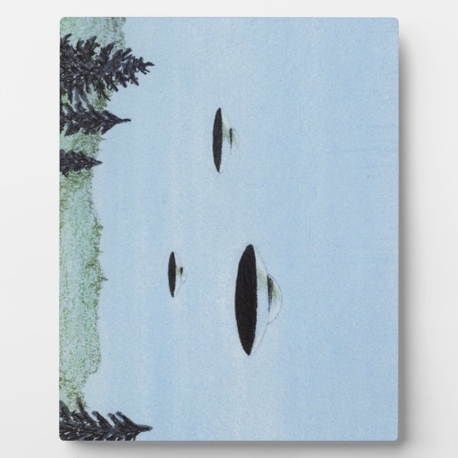 Placa Expositora UFO Trio (Frente)