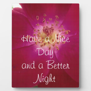 Placa Expositora Último Rosa de San Valentín controlado