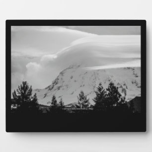 Placa Expositora Un día frío en marzo