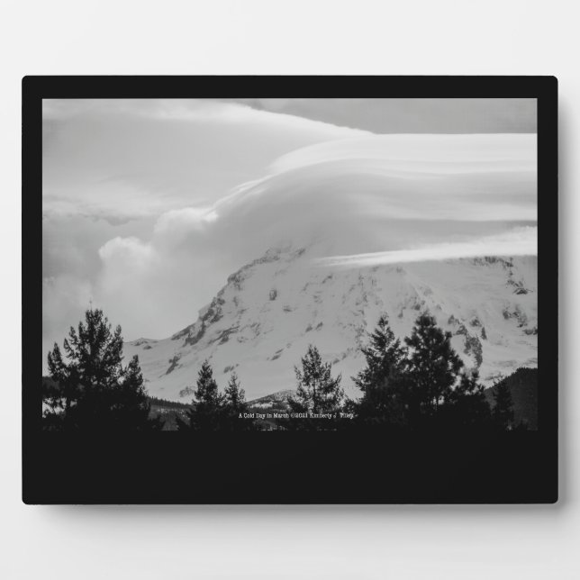 Placa Expositora Un día frío en marzo (Frente)