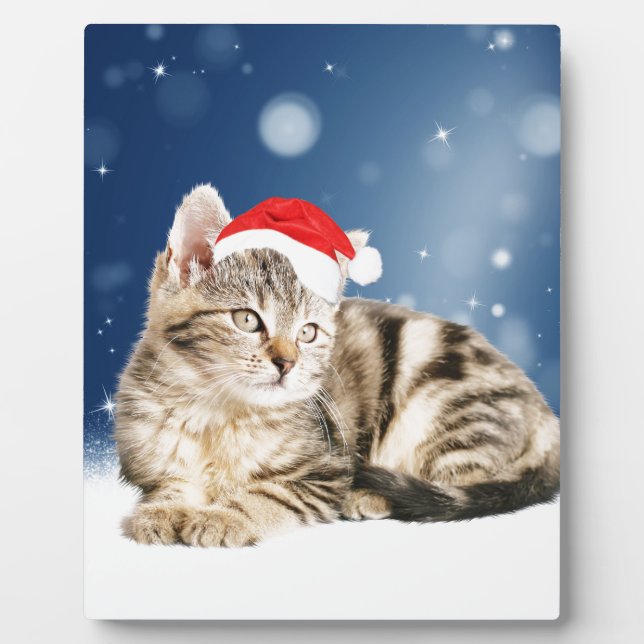 Placa Expositora Un gato lindo vestido con Navidades de sombrero ro (Frente)