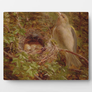 Placa Expositora Un Greenfinch en su nido, 1877 (petróleo en panel)
