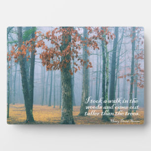 Placa Expositora Un paseo por los bosques