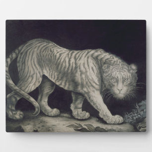 Placa Expositora Un tigre galopante (lápiz sobre papel)