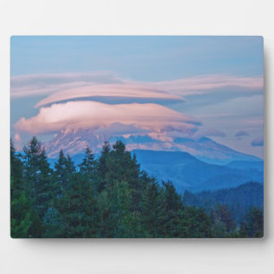 Placa Expositora Una noche de verano