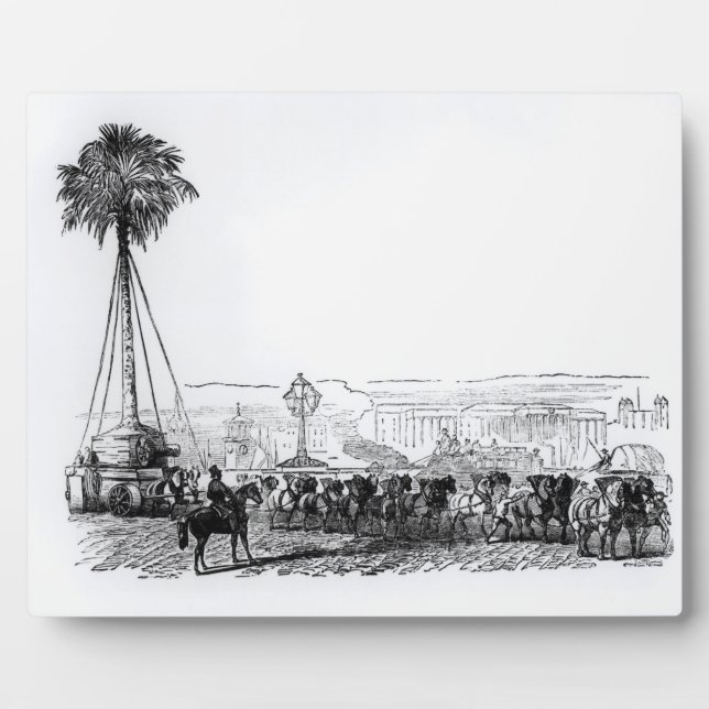 Placa Expositora Una palmera que se transporta a Hyde Park para (Frente)