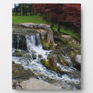 Placa Expositora Una pequeña cascada