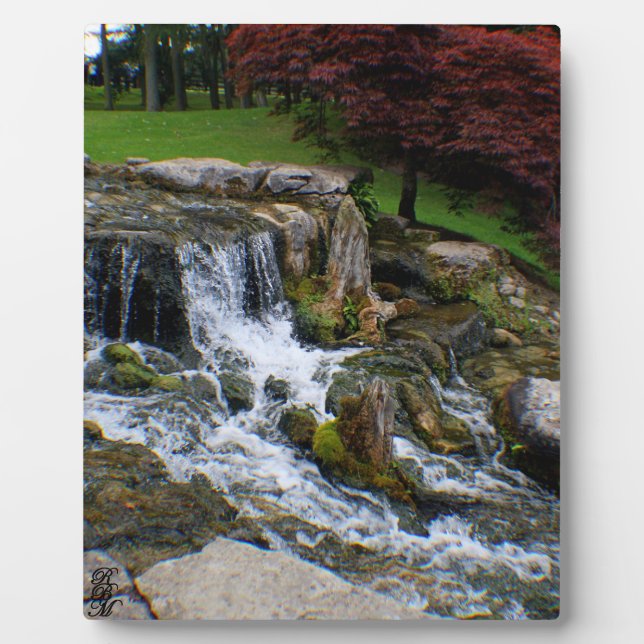 Placa Expositora Una pequeña cascada (Frente)
