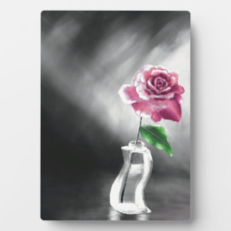 Placa Expositora Una sola rosa