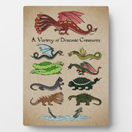 Placa Expositora Una variedad de criaturas draconicas