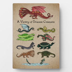 Placa Expositora Una variedad de criaturas draconicas