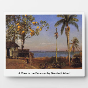 Placa Expositora Una vista en las Bahamas por Bierstadt Albert