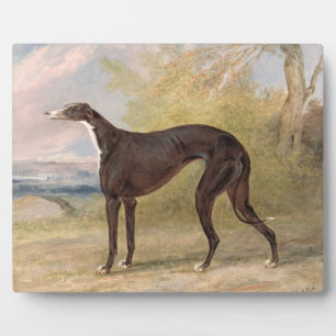 Placa Expositora Uno de los Greyhounds ganadores de George Lane Fox