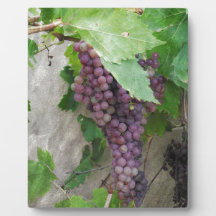 Uvas moradas en el vino
