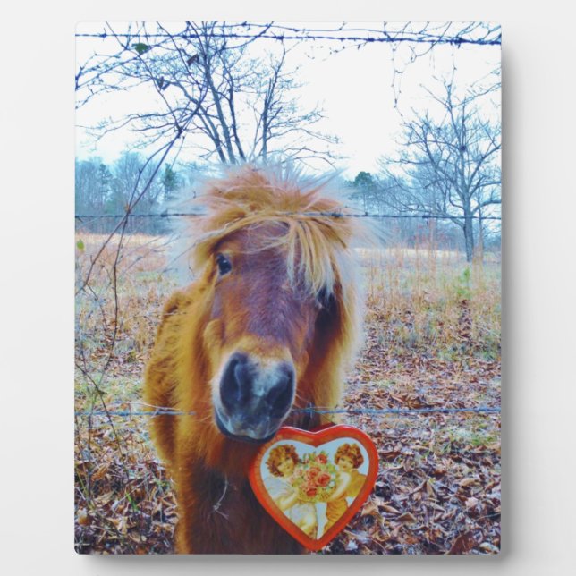Placa Expositora Valentine Heart Horse (Frente)
