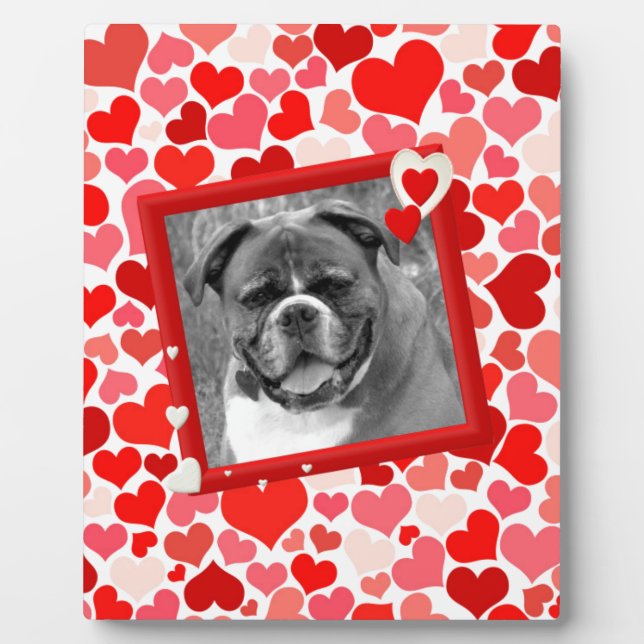 Placa Expositora Valentines Boxer Dog Hearts (Frente)