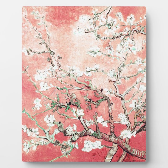 Placa Expositora Van Gogh Almond Blossoms Peach (Frente)