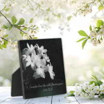 Versículo Bíblico Inspirador