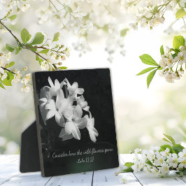 Placa Expositora Versículo Bíblico Inspirador