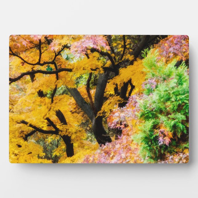 Placa Expositora Vibrant Zen Garden (Frente)