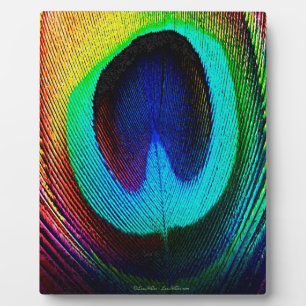 Placa Expositora Vibrante Feather Peacock