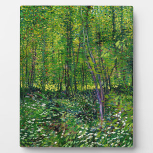 Placa Expositora Vicente Van Gogh Trees Y Subcrecimiento
