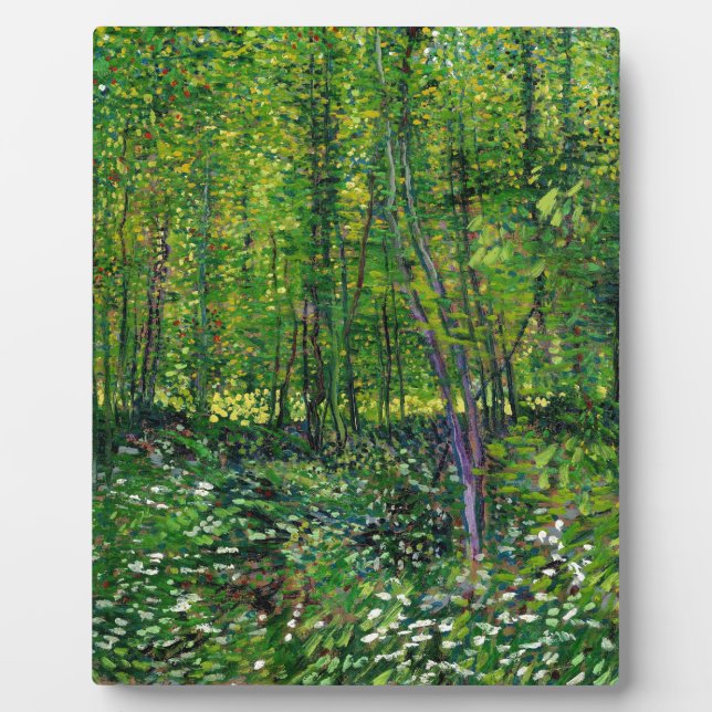 Placa Expositora Vicente Van Gogh Trees Y Subcrecimiento (Frente)