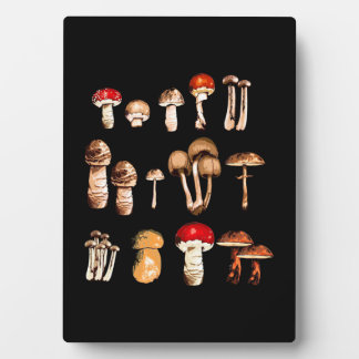 Placa Expositora Vida del selector de hongos