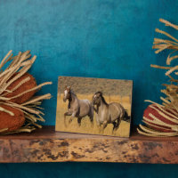 Vida en rancho en The Ponderosa Ranch