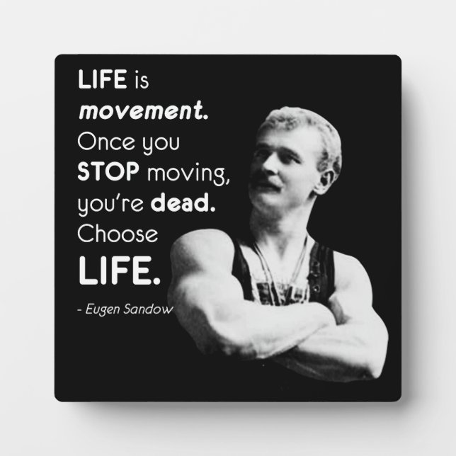 Placa Expositora Vida - Motivación para la construcción del cuerpo  (Frente)