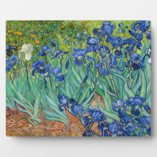 Placa Expositora Vincent Van Gogh - Irises