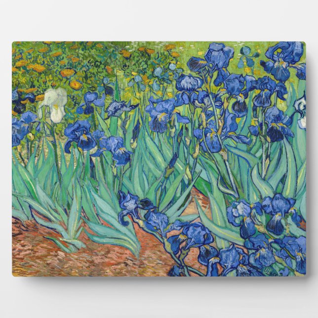 Placa Expositora Vincent Van Gogh - Irises (Frente)