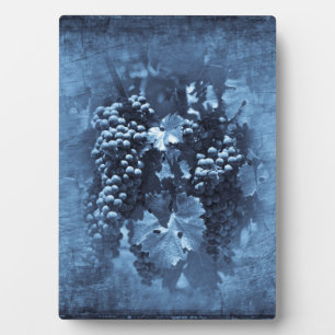 Placa Expositora Vintage Blue Grapes Plaster