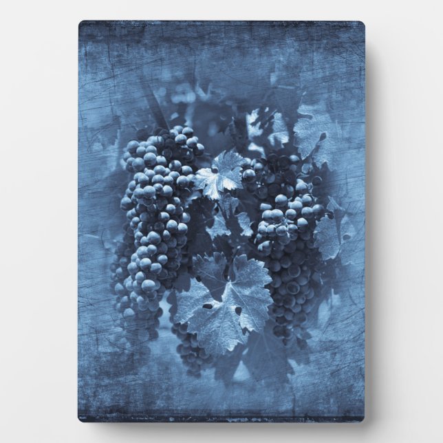 Placa Expositora Vintage Blue Grapes Plaster (Frente)