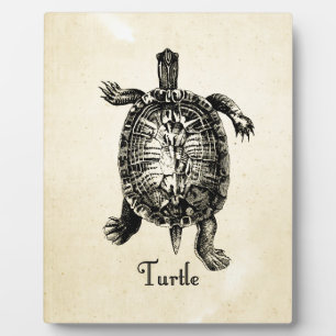 PLACA EXPOSITORA VINTAGE TURTLE