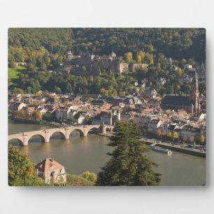 Placa Expositora Vista del Alte Brucke o Puente Viejo