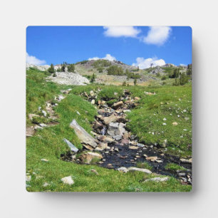 Placa Expositora Vista del sendero de los lagos Gaylor, paso de Tio