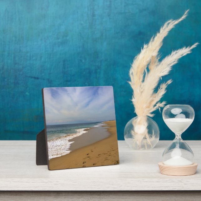 Placa Expositora Vista desde Wedge, Newport Beach, California (in situ)