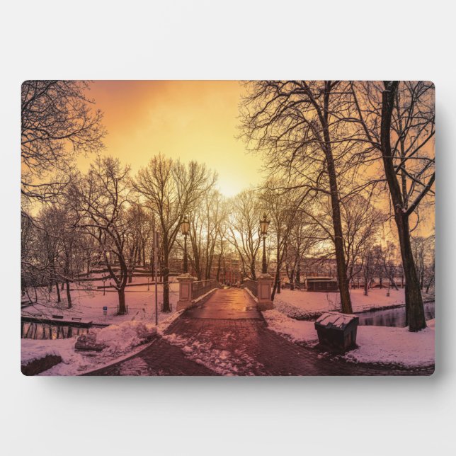 Placa Expositora Vista panorámica del parque de nieve durante la pu (Frente)