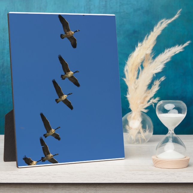 Placa Expositora Volando (Lado)