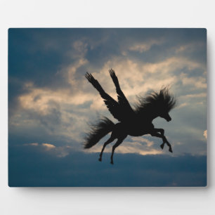 Placa Expositora Vuelo nocturno v.1 Plaque