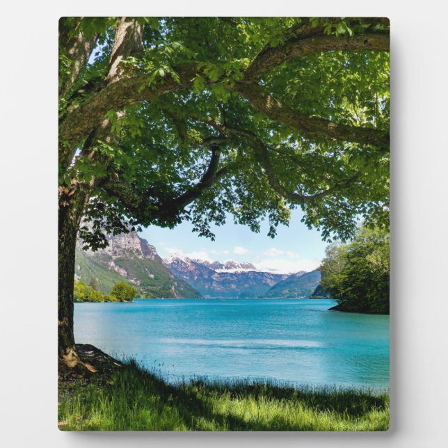 Placa Expositora Walensee Suiza (Frente)