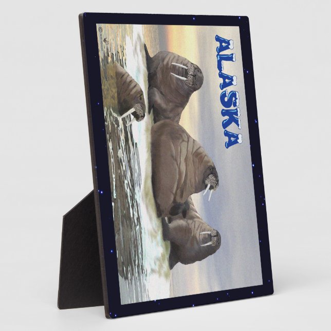 Placa Expositora Walrus - Cuatro Hermanos (Lado)