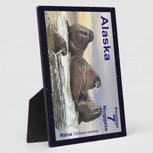 Placa Expositora Walrus - Cuatro Hermanos (Lado)