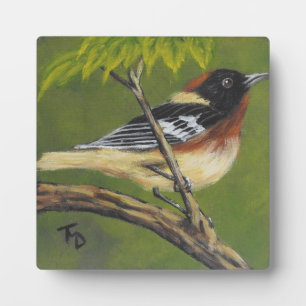 Placa Expositora Warbler de pecho - Plaque de tabletop con caballet