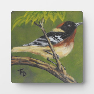 Placa Expositora Warbler de pecho - Plaque de tabletop con caballet