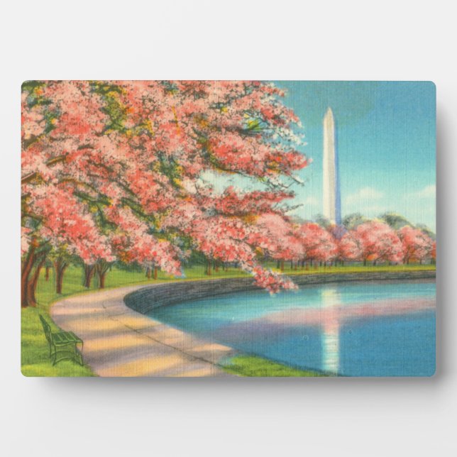 Placa Expositora Washington (Frente)