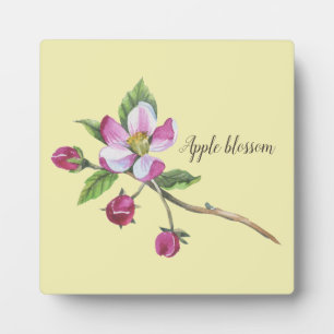 Placa Expositora Watercolor Apple Blossom Botanico